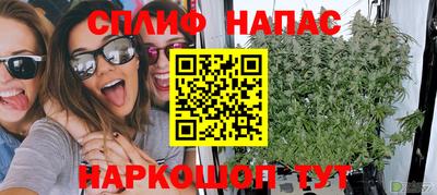 прущие грибы Моздок