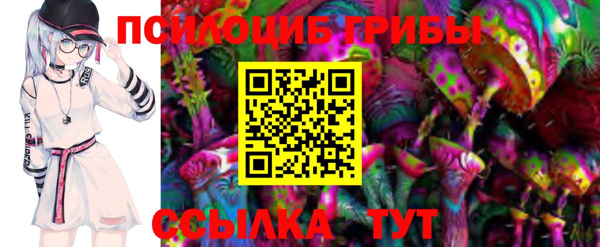 Псилоцибиновые грибы Psilocybine cubensis Дедовск